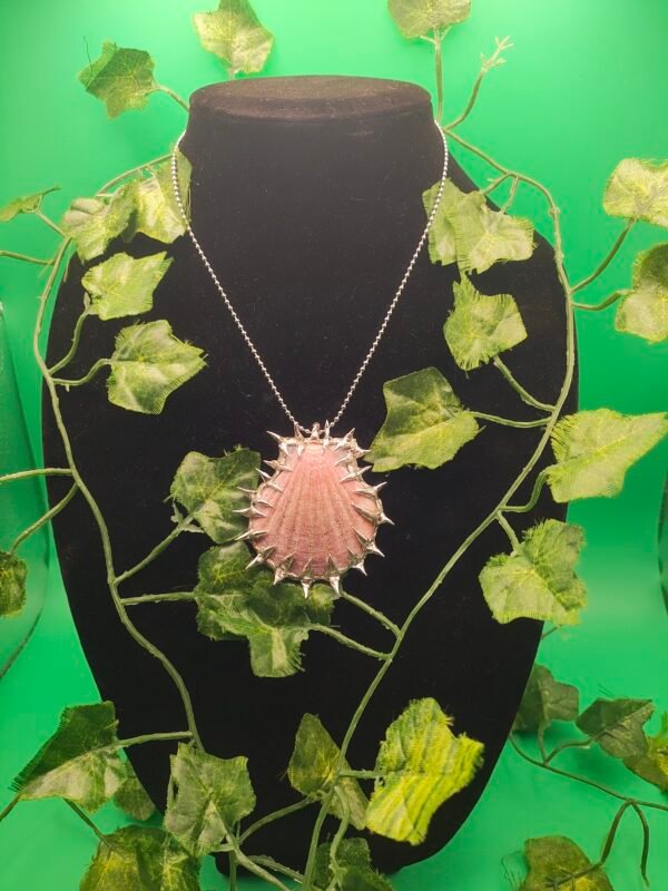 spiked sea shell jewelry - Image 3