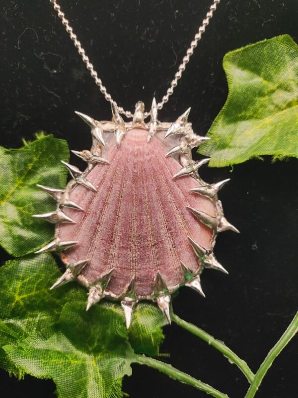 spiked sea shell jewelry - Image 4