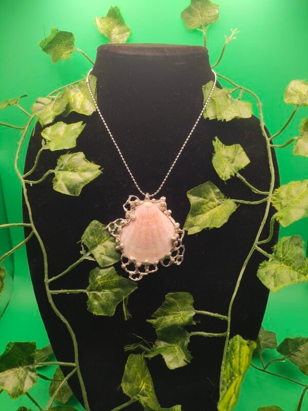spiked sea shell jewelry - Image 5