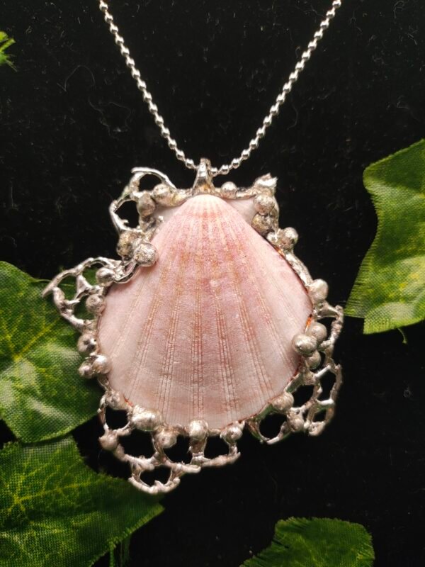 spiked sea shell jewelry - Image 6