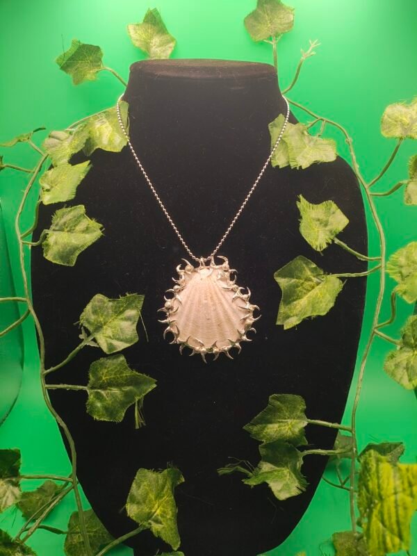 spiked sea shell jewelry - Image 7