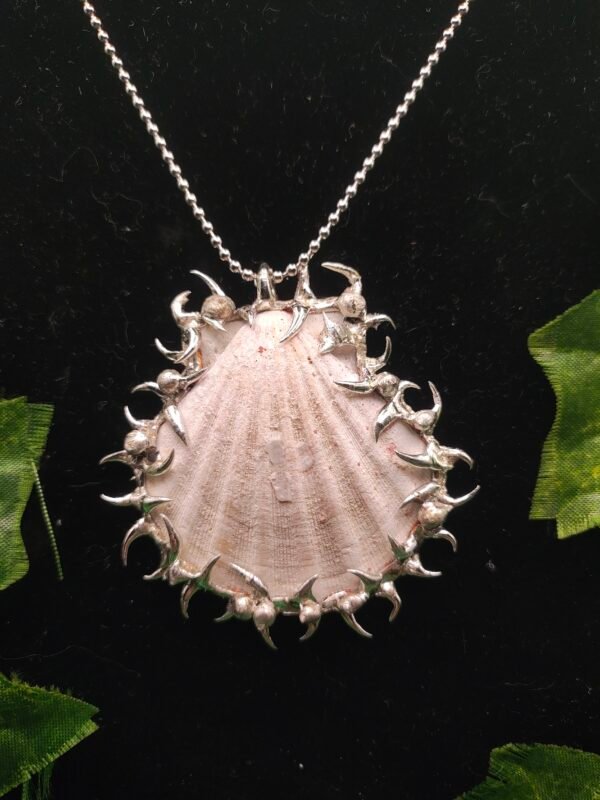 spiked sea shell jewelry - Image 8
