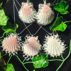 spiked sea shell jewelry