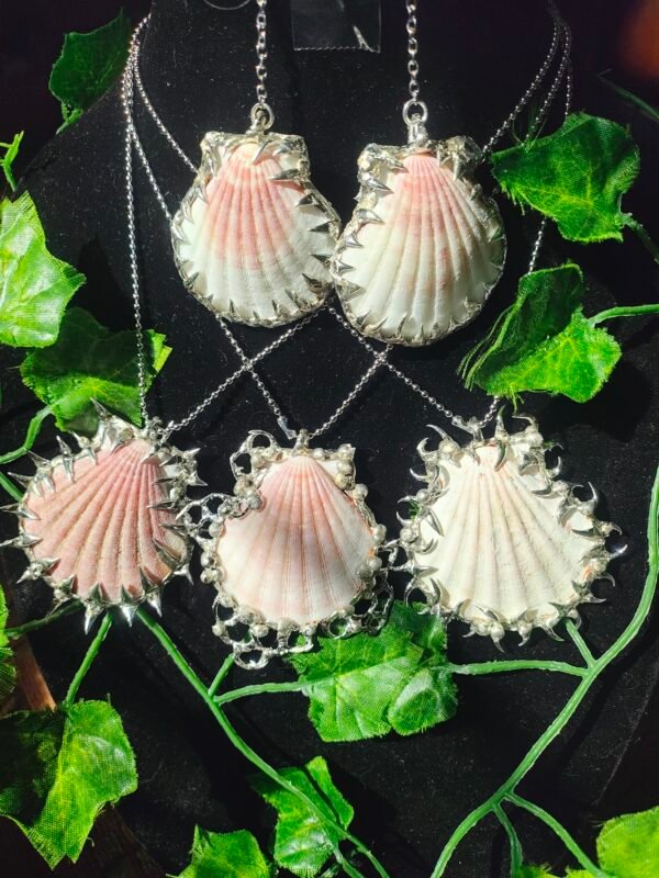 spiked sea shell jewelry